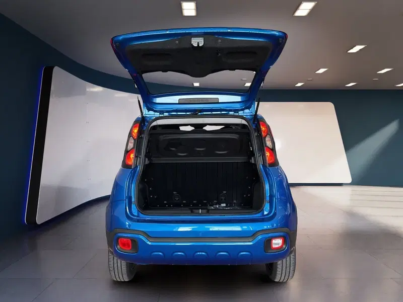 Fiat Panda usata a Torino (7)