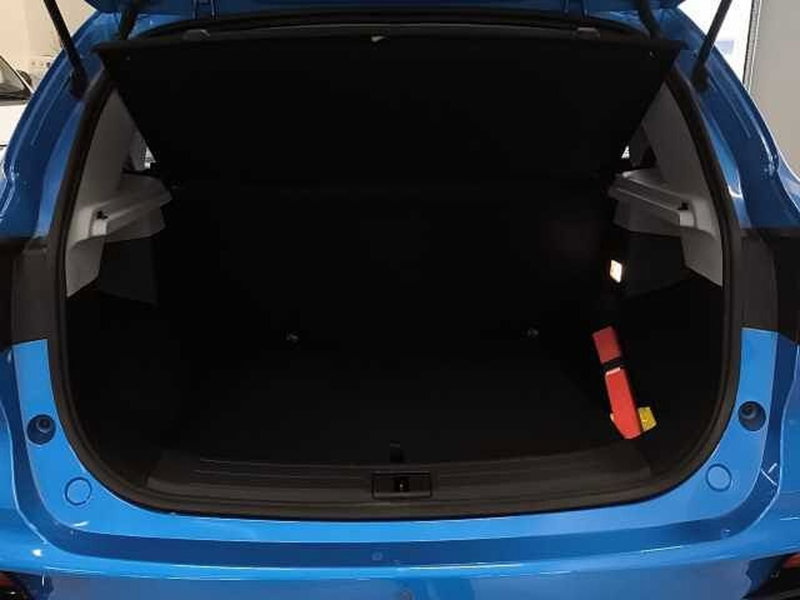 Mg ZS usata a Perugia (6)