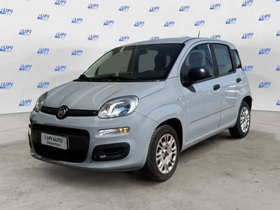 Fiat Panda 1.2 Easy del 2020 usata a Serravalle Pistoiese