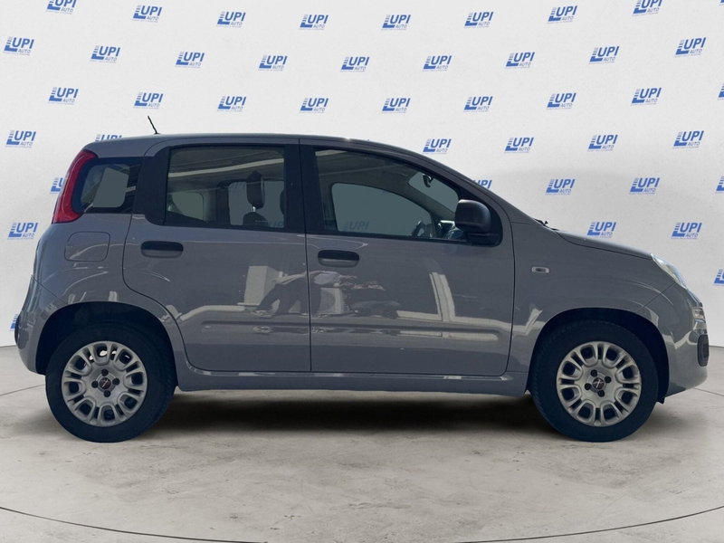 Fiat Panda usata a Pistoia (2)