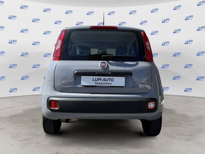 Fiat Panda usata a Pistoia (3)