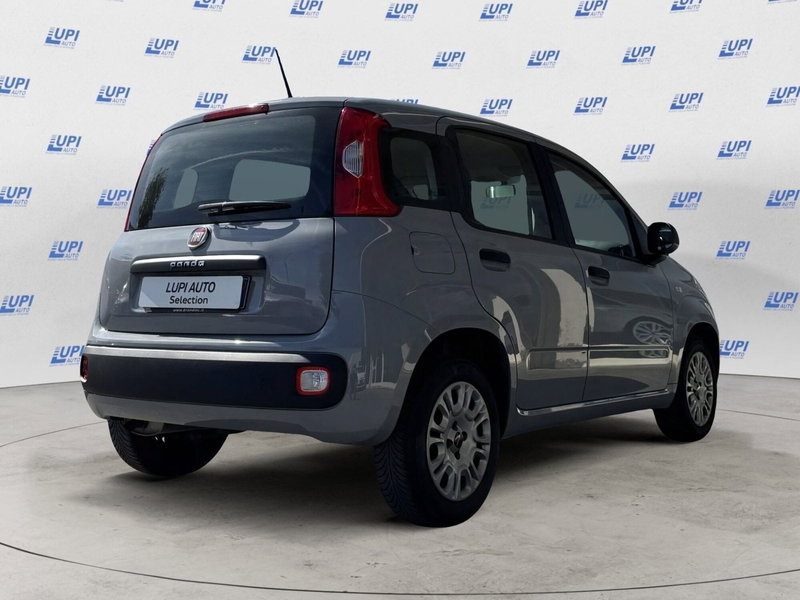Fiat Panda usata a Pistoia (5)