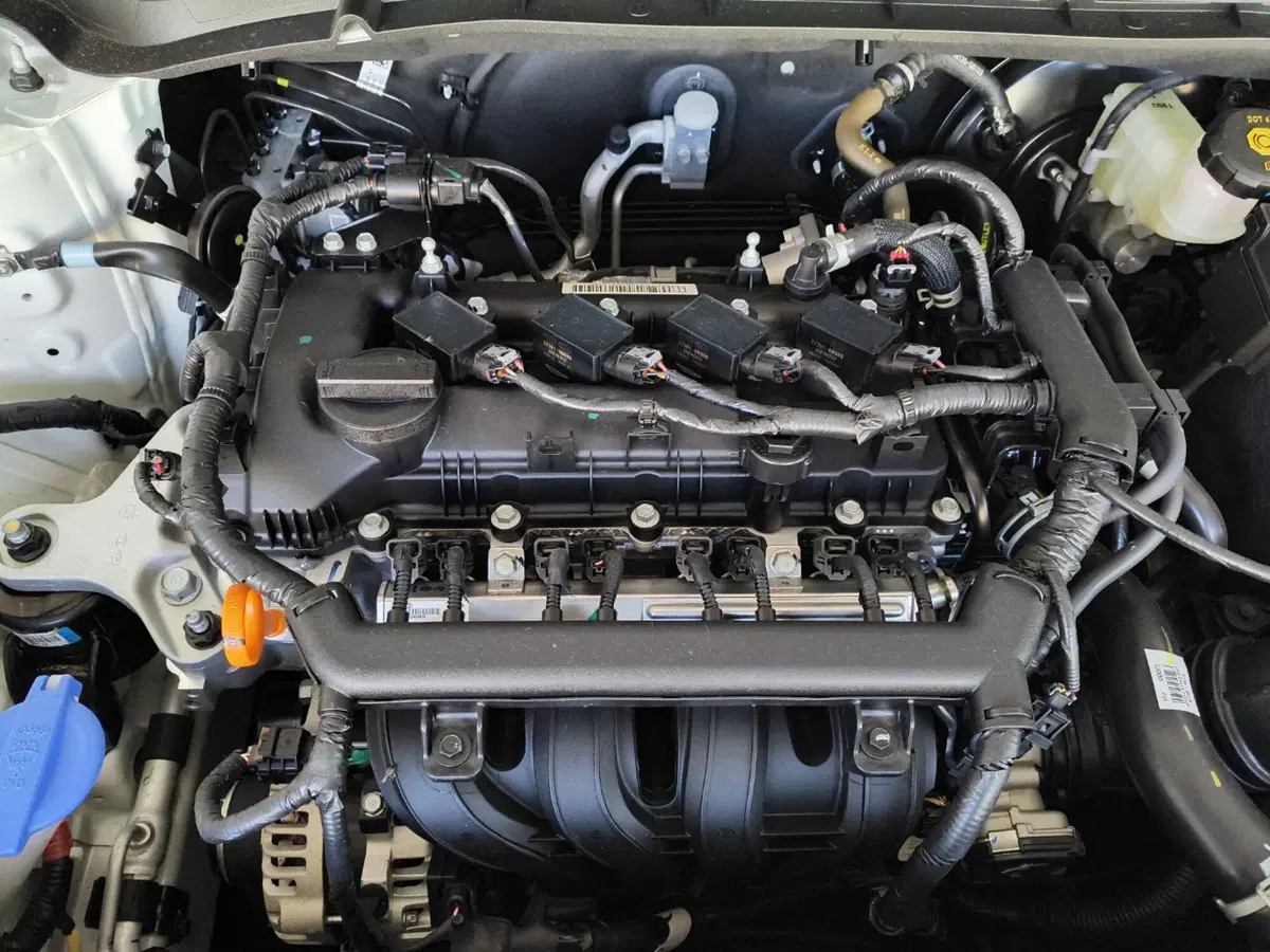 Hyundai Bayon nuova a Macerata (13)
