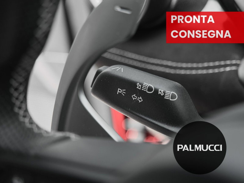 Alfa Romeo Tonale usata a Prato (12)