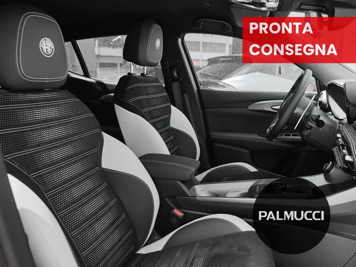Alfa Romeo Tonale usata a Prato (5)