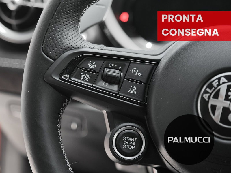 Alfa Romeo Tonale usata a Prato (9)