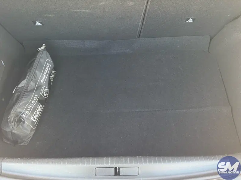 Peugeot 208 usata a Firenze (20)