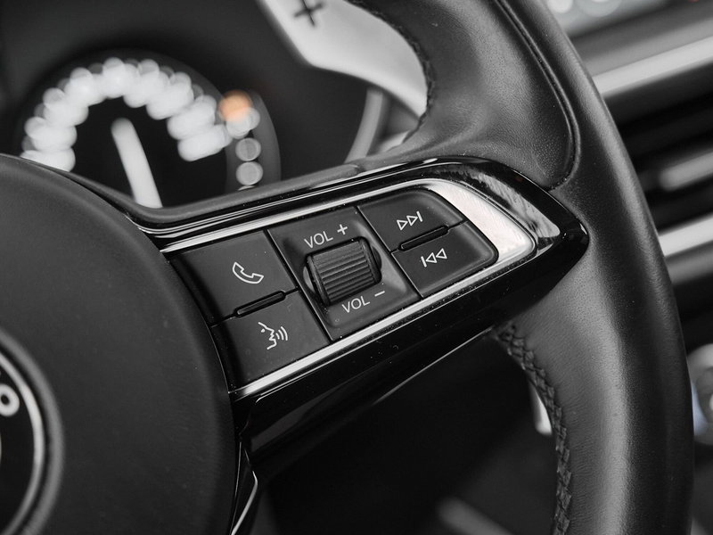Alfa Romeo Stelvio usata a Prato (13)