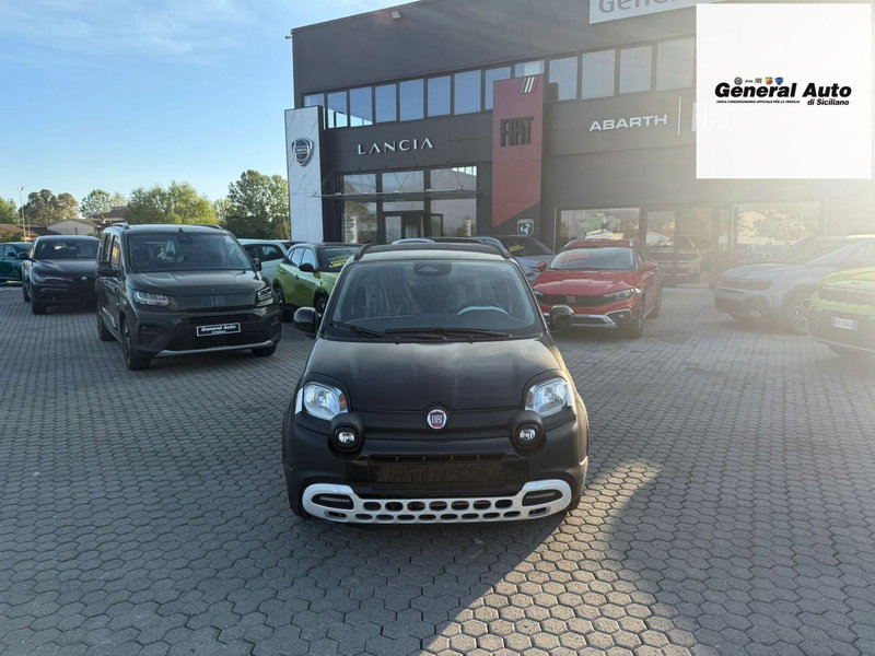 Fiat Pandina nuova a Lucca (2)