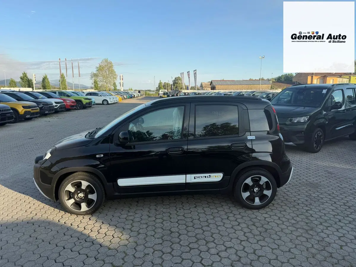 Fiat Pandina nuova a Lucca (4)