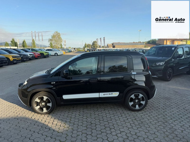 Fiat Pandina nuova a Lucca (4)