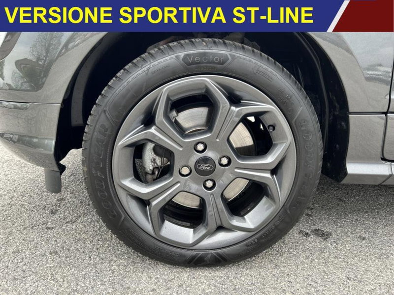 Ford EcoSport usata a Cuneo (4)