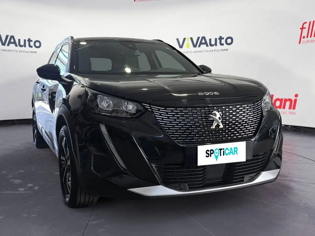Peugeot 2008 usata a Massa-Carrara (16)