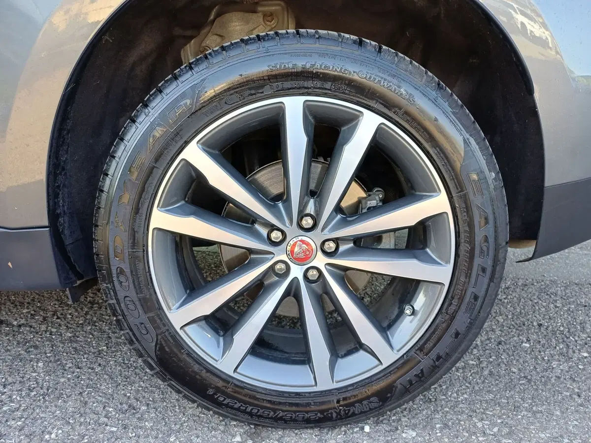 Jaguar F-Pace usata a Modena (9)