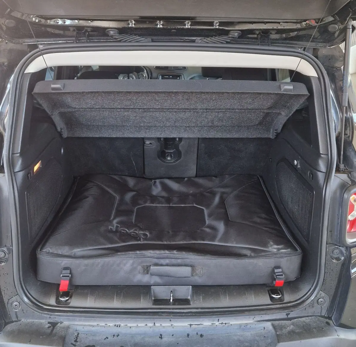 Jeep Renegade usata a Terni (10)