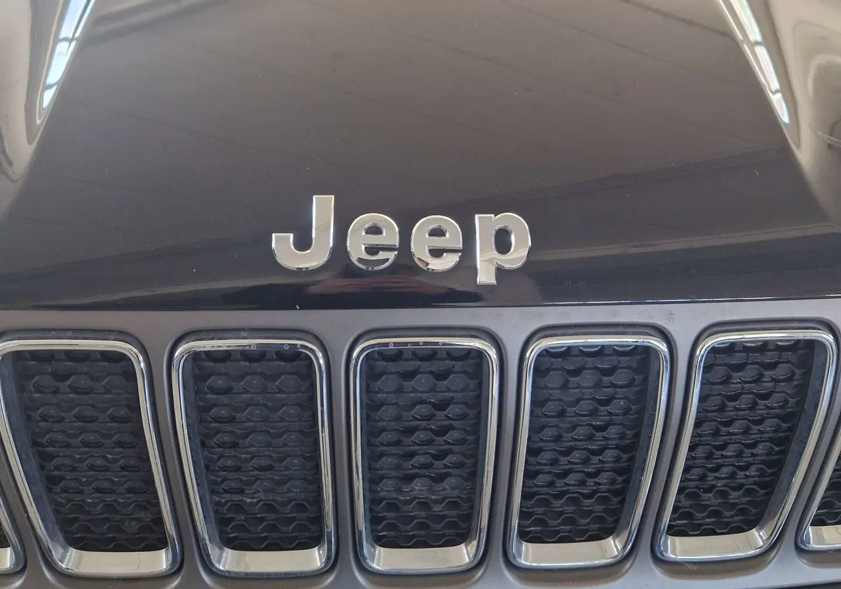 Jeep Renegade usata a Terni (19)