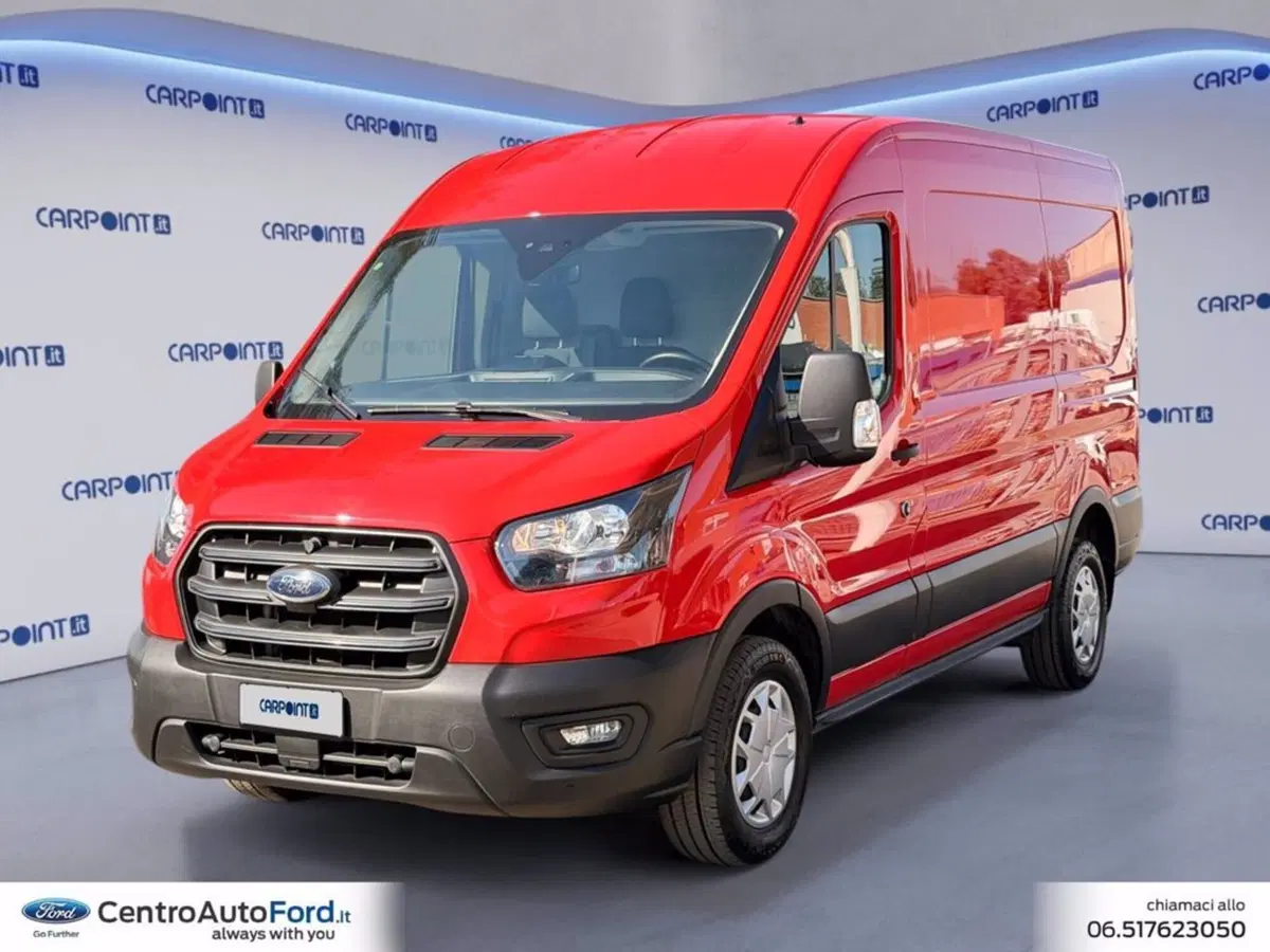 Ford Transit Furgone usata a Roma