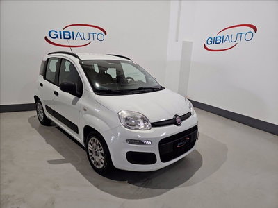 Fiat Panda 1.2 Easy del 2019 usata a Palermo
