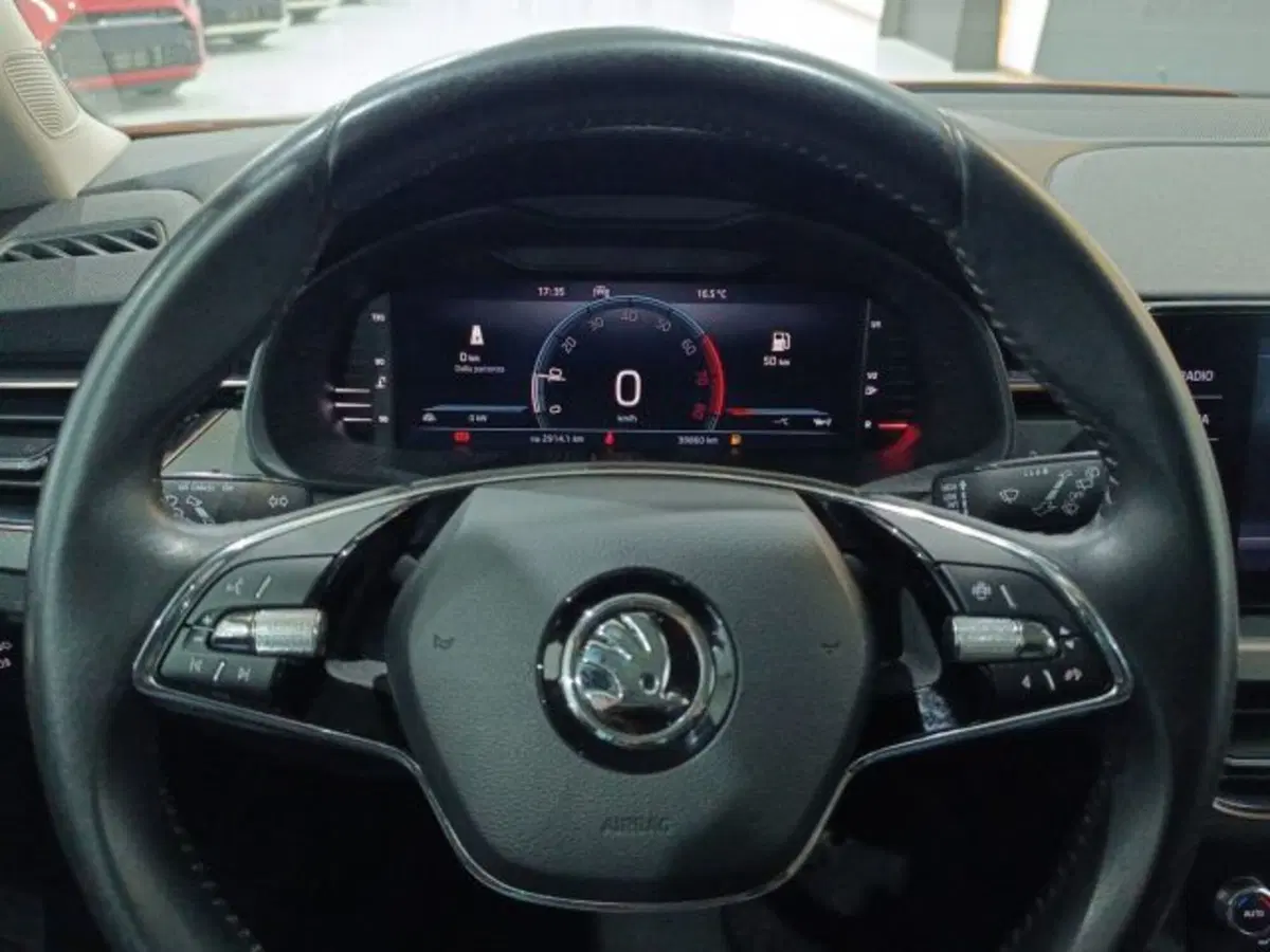 Skoda Kamiq usata a Catania (18)