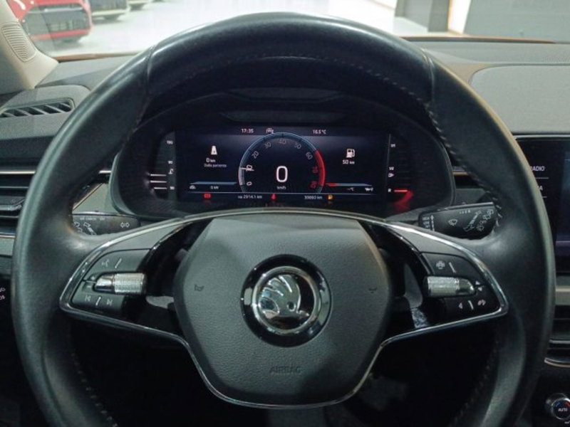 Skoda Kamiq usata a Catania (18)