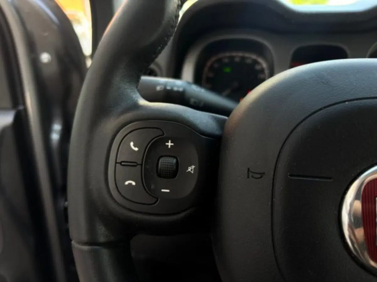 Fiat Panda Cross usata a Cuneo (19)