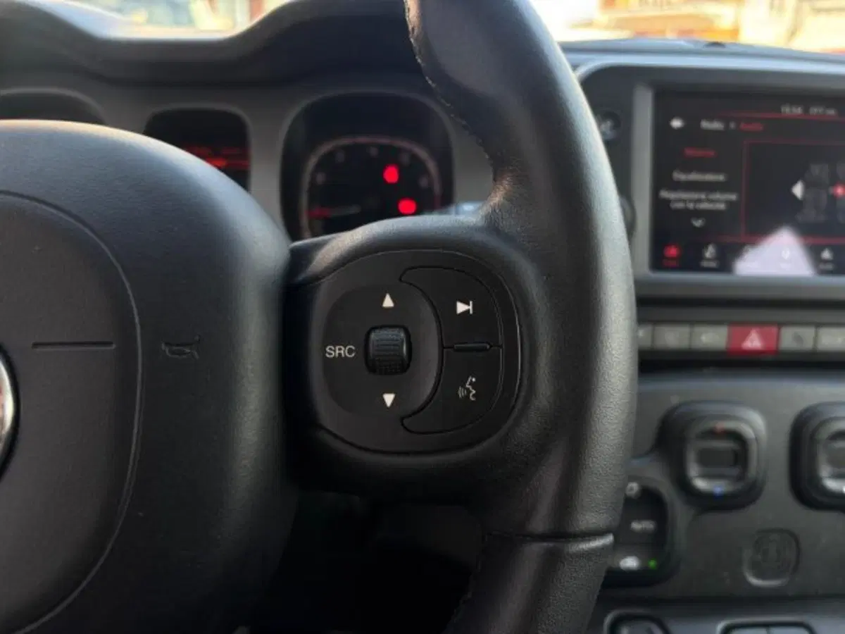 Fiat Panda Cross usata a Cuneo (20)