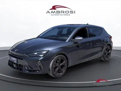 Cupra Leon Leon 2.0 tdi 150cv dsg del 2024 usata a Corciano