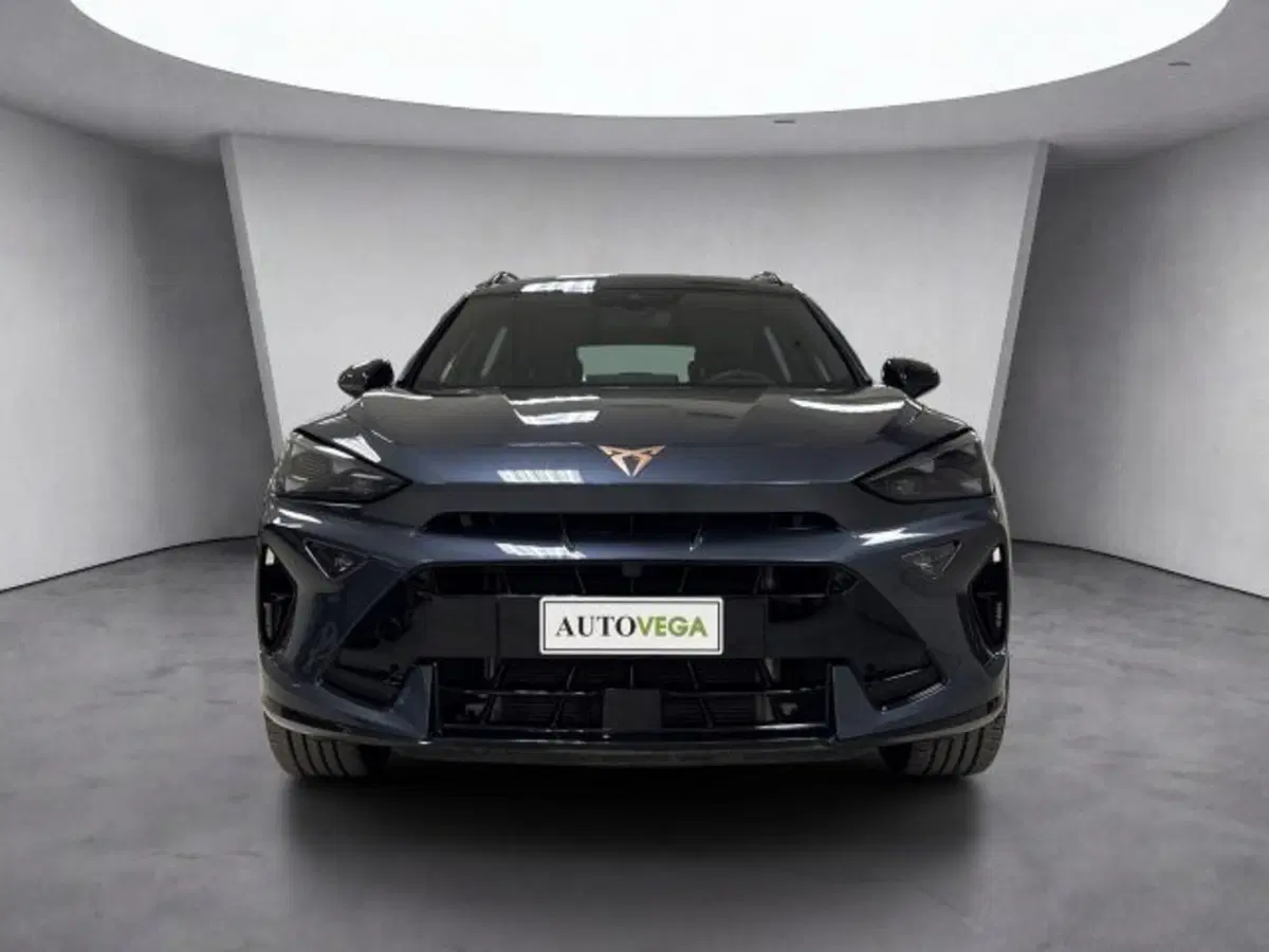 Cupra Formentor usata a Vicenza (2)
