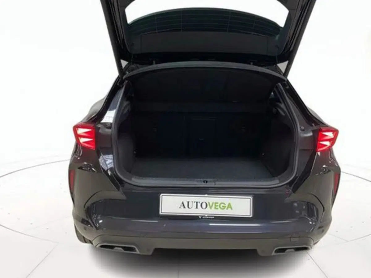 Cupra Formentor usata a Vicenza (18)