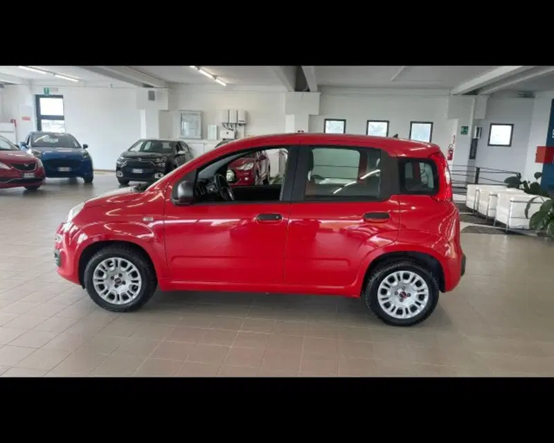 Fiat Panda usata a Bologna (9)