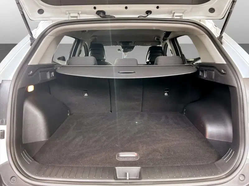 Kia Sportage usata a Piacenza (7)