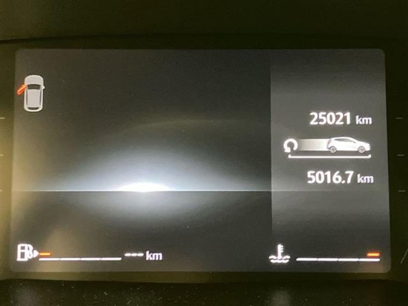 Renault Clio usata a Como (15)