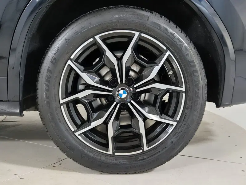 BMW X3 usata a Torino (14)