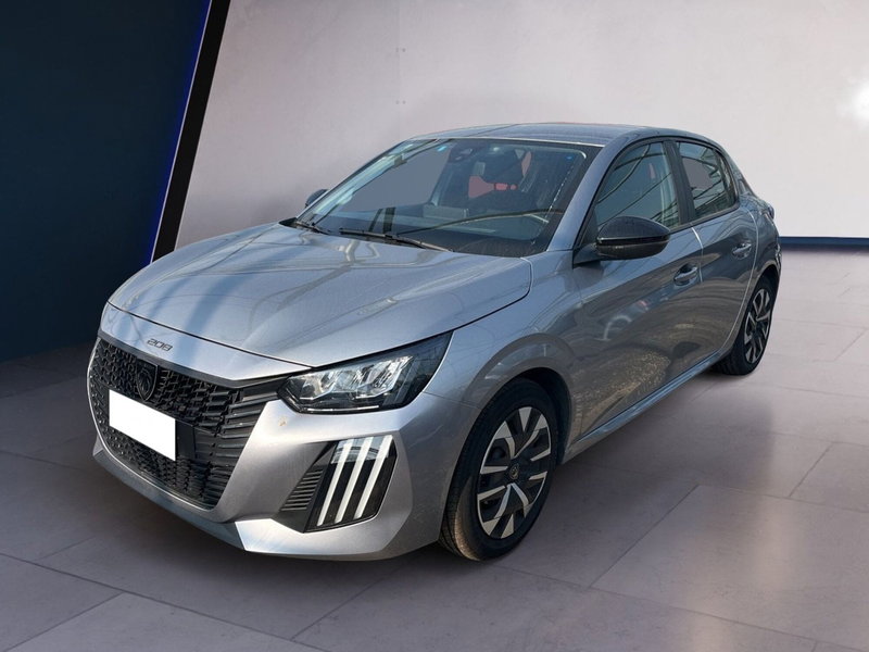 Peugeot 208 usata a Torino (2)