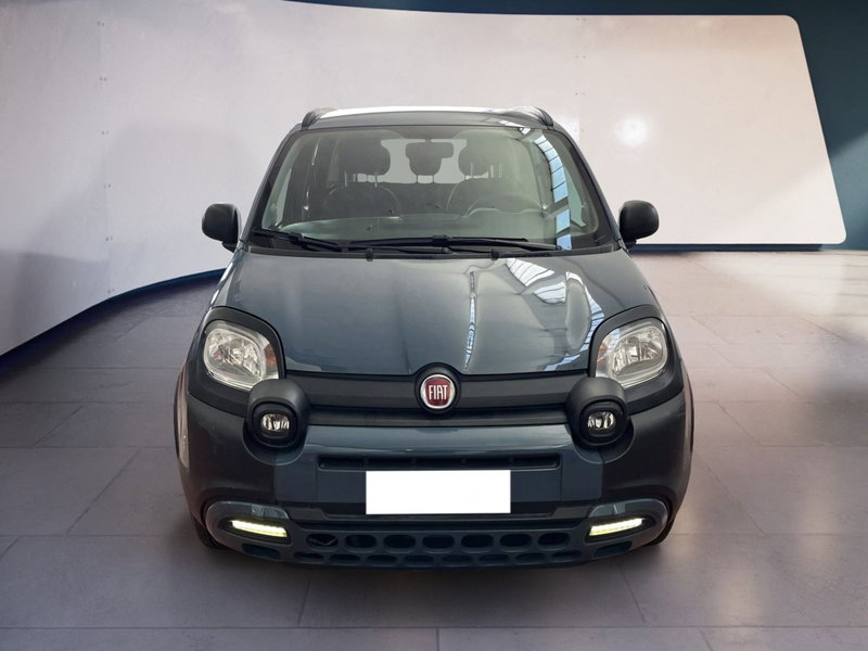 Fiat Panda Cross usata a Torino