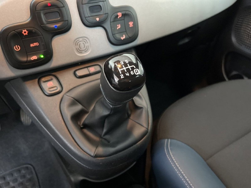 Fiat Panda Cross usata a Torino (11)