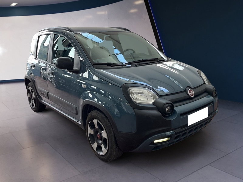 Fiat Panda Cross usata a Torino (2)