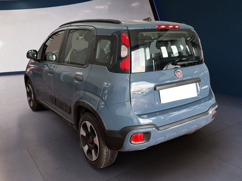 Fiat Panda Cross usata a Torino (4)