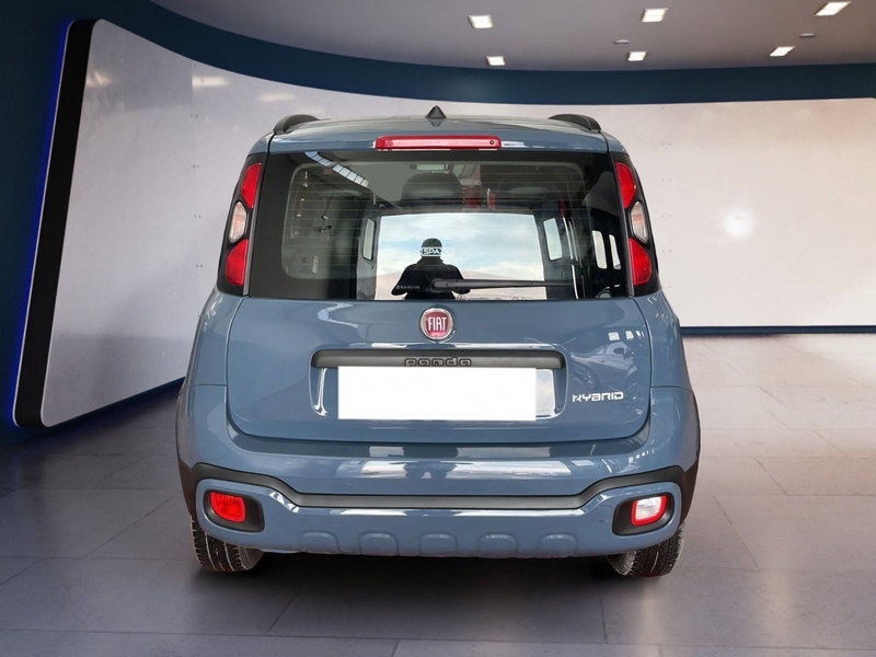 Fiat Panda Cross usata a Torino (5)