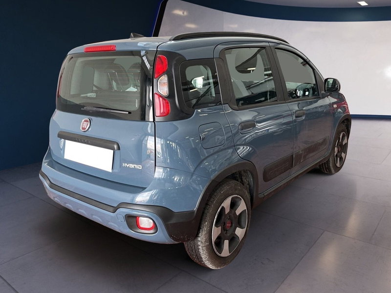 Fiat Panda Cross usata a Torino (6)