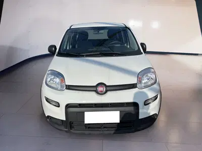 Fiat Panda Cross Cross 1.0 FireFly S&amp;S Hybrid del 2023 usata a Torino