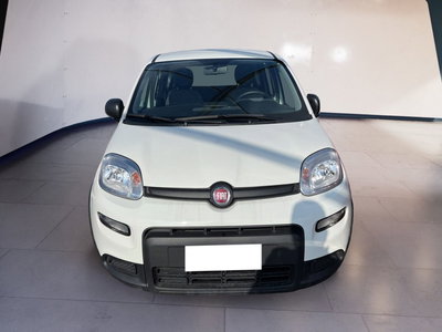 Fiat Panda Cross Cross 1.0 FireFly S&amp;S Hybrid del 2023 usata a Torino