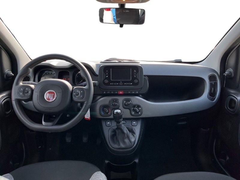 Fiat Panda Cross usata a Torino (10)