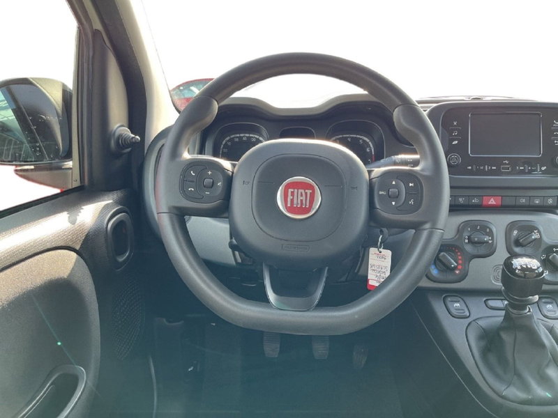 Fiat Panda Cross usata a Torino (11)