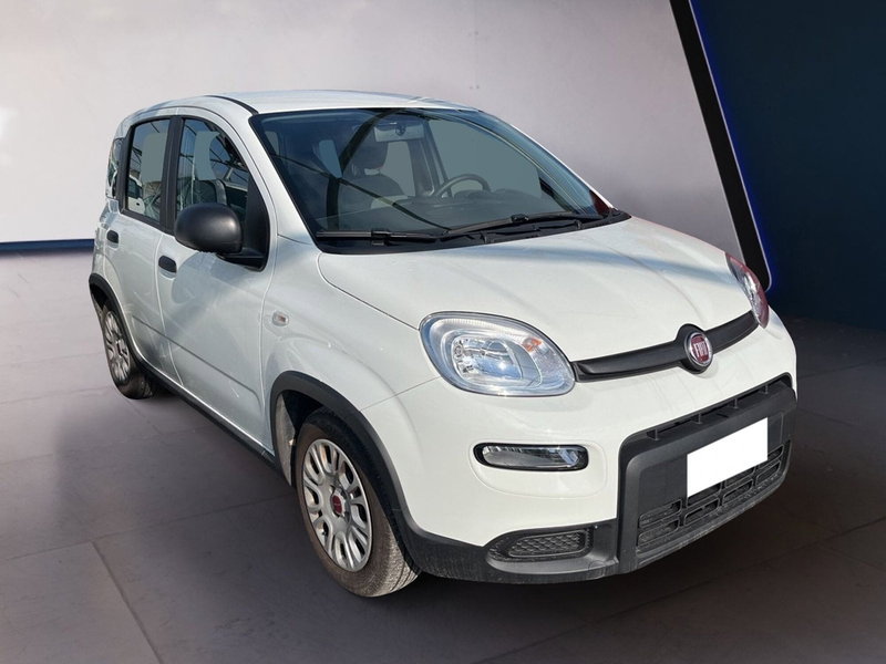 Fiat Panda Cross usata a Torino (2)