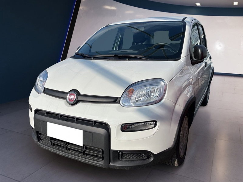 Fiat Panda Cross usata a Torino (3)