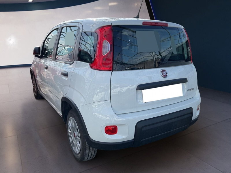 Fiat Panda Cross usata a Torino (4)