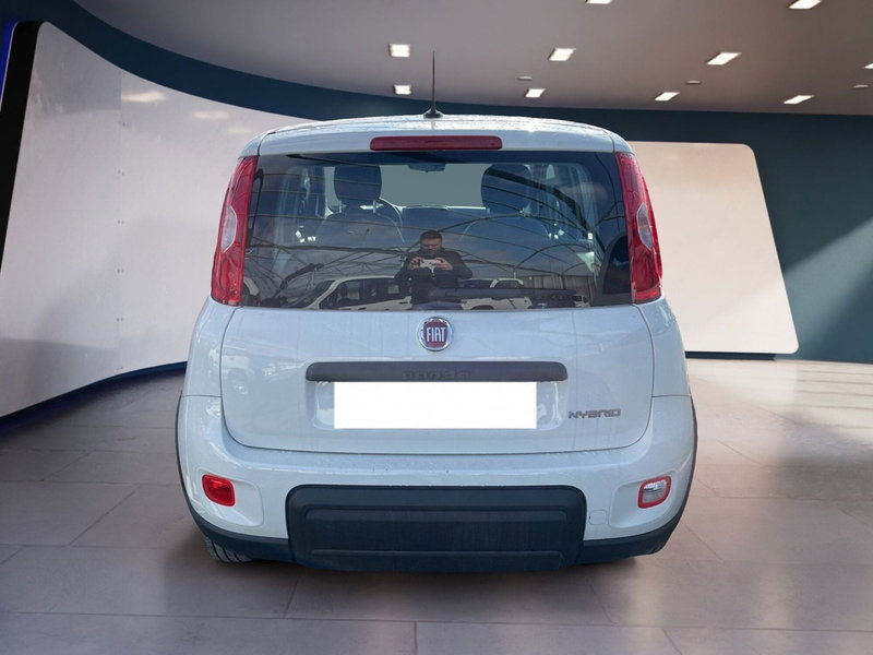 Fiat Panda Cross usata a Torino (5)