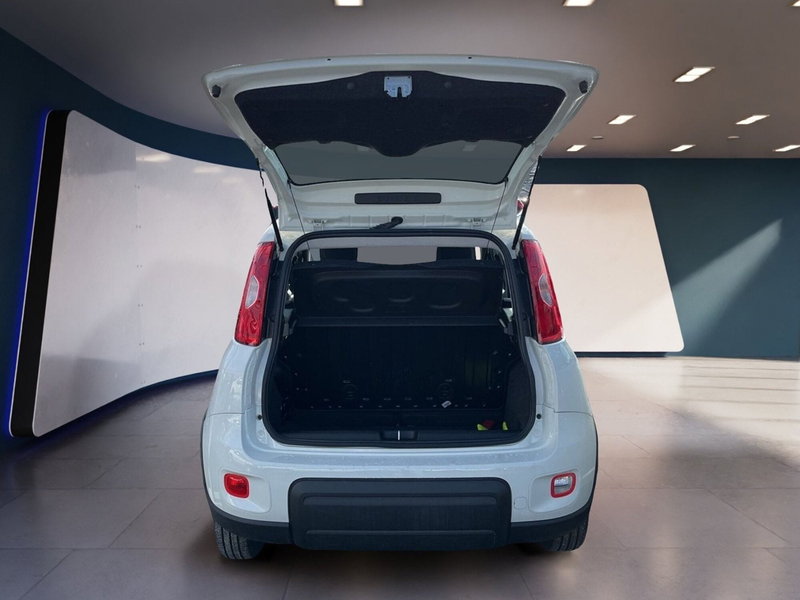 Fiat Panda Cross usata a Torino (7)