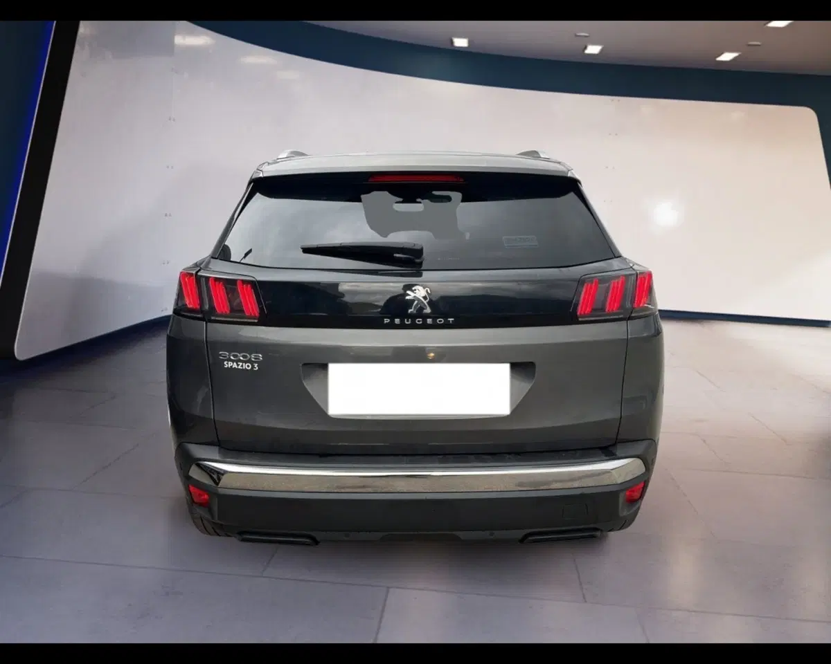 Peugeot 3008 usata a Torino (12)